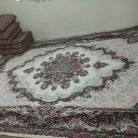 فرش|فرش|تهران, هاشم‌آباد|دیوار