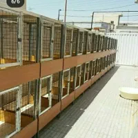 ساخت قفس گالوانیزه (سفارشی)|لوازم جانبی حیوانات|گنبد کاووس, |دیوار