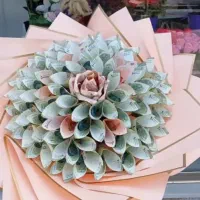 باکس گل و دسته گل|گل مصنوعی|قم, قلعه کامکار|دیوار