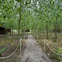 بهشتی در نزدیکی شما|فروش خانه و ویلا|تاکستان, |دیوار