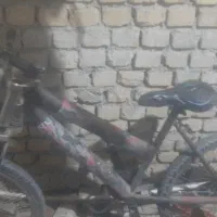 دوچرخه سالم|دوچرخه، اسکیت، اسکوتر|تنکمان, |دیوار