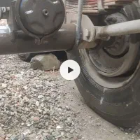 تریلی کفی|خودرو سنگین|آبیک, |دیوار