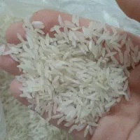 فجر سوزنی درجه 1