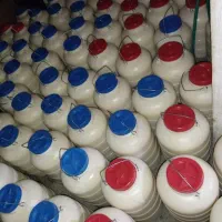 کره گوسفند عمده پخش کلی ‌جزی  ماست چکیده|عمده‌فروشی|مشهد, دوست آباد|دیوار