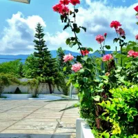 اجاره شبانه ویلای لوکس مبله در نشتارود|اجارهٔ کوتاه‌مدت ویلا و باغ|نشتارود, |دیوار