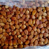 خرما زاهدی قصبک