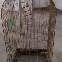 قفس پرنده|لوازم جانبی حیوانات|مشهد, تلگرد|دیوار