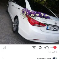 عرضه مستقیم گلدون و گیاه‌های تزئینی تازه|گل و گیاه طبیعی|فولادشهر, ورزشگاه فولادشهر|دیوار