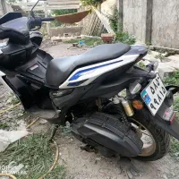 ایروکس نیوفیس