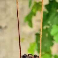 دکوری وتزیینات