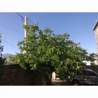 فروش منزل مسکونی در روستای قبغلو|فروش خانه و ویلا|سقز, |دیوار