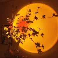 سان ست لامپ|لامپ و چراغ|رشت, چله خانه|دیوار