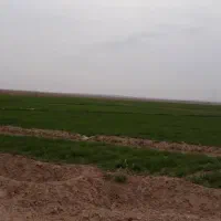 زمین کشاورزی، باغی، ویلا باغ، گلخانه، دامداری