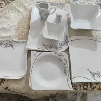 ظروف چینی