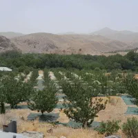 laquo-باغ-سرسبز-و-پربار-با-انواع-درختان-مثمر-raquo