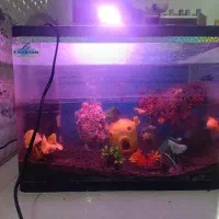 آکواریوم شیشه گرد ۲۵×۳۰×۴۰