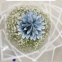 پول آرایی مناسب کادو دادن برا روز مادر|گل مصنوعی|گرمی, |دیوار