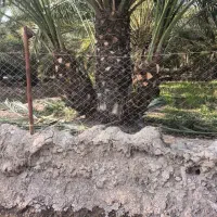 فاروش پاجوش ازآبادان