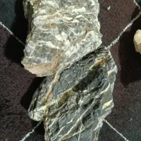 دکور سنگ و مرجانوشن برای آکواریوم.و یک عددمه ساز|ماهی|اصفهان, شهرک امام خمینی|دیوار