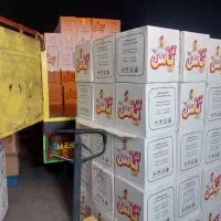 پخش تخم مرغ عمده