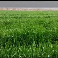 ملک و املاک