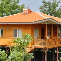 کلبه چوبی درطبیعت ماسال