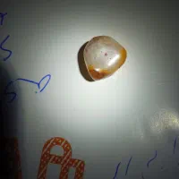 سنگ قدیمی|کلکسیون اشیاء عتیقه|بردسیر, |دیوار