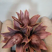 گل فوم خارجی قابل شستشو