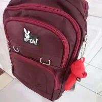 کوله پشتی فقط ۳۵۰ارسالم دارم