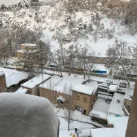 ۲۲۱ متر کامرانیه شمالی شیبانی ۳خ