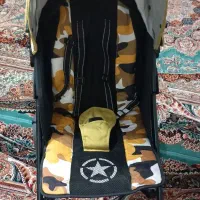 کالسکه عصایی