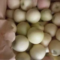 سیب زرد  رنگ دار بدون یک دونه خرابی|خوردنی و آشامیدنی|سیدان, |دیوار