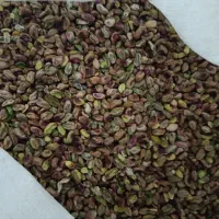 فروش وخرید روابی وغیره،