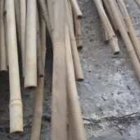 چوب بامبو چوب پرچم