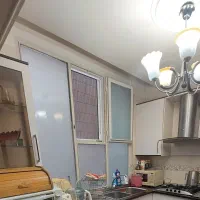 هودوسینکو شیر|هود|تهران, سعادت‌آباد|دیوار
