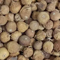 بادام سنگی بادام زمینی آستانه لوبیاچیتی شکلات خرما|خوردنی و آشامیدنی|قم, باسکول|دیوار