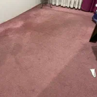 پالاز موکت  کات بی