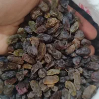 کشمش اعلا بیدانه|خوردنی و آشامیدنی|محمدیه-قزوین, |دیوار