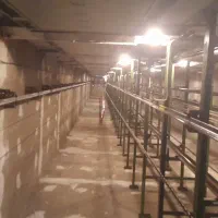 تعمیرات ونصب آسانسور کششی و هیدورلیک|خدمات پیشه و مهارت|دماوند, گیلاوند|دیوار