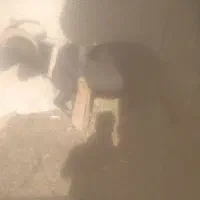 فروش پازن ونر بز