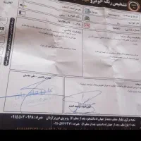 ریو مدل 1384|خودرو سواری و وانت|چناران, |دیوار