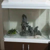 آکواریوم درحدنو