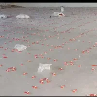 کاشی کاری سنگکاری|خدمات پیشه و مهارت|اردکان, |دیوار