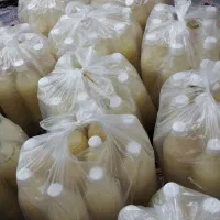 آبلیموی تفاله دار تازه وشرط کیفیت