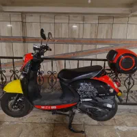 موتور کویر  ms1