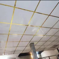 مجری کلیه سقف های تایل کمپارس کن اف ماربل ترمو|خدمات پیشه و مهارت|گرگان, |دیوار