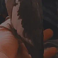 گمشده خواهش میکنیم کسی پیداش کرد بگه