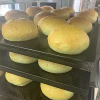 شاطر و وردست نان فانتزی|استخدام خدمات فروشگاه و رستوران|بند زرک, |دیوار