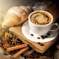 انواع دان قهوه روبوستا عربیکا