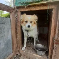 قیمت توافقی و ارزان